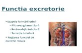 Functia excretorie