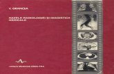 42941282 Bazele Radiologiei Si Imagisticii Medicale Grancea 1996 Bucuresti