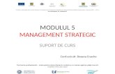 Management Strategic Suport de Curs (1)