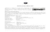 Proiect Mecanisme BMW final.doc