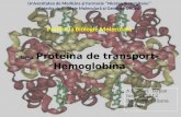 Biologie Moleculara Proiect (Hemoglobina)