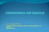 Sindromul Metabolic
