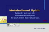 Metabolismul Lipidic