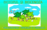 Biotopul Si Biocenoza