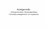Curs 10 Antigenele