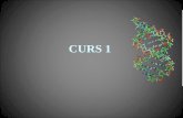 CURS 1 Genetica