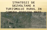 Strategii de Dezvoltare a Turismului Rural in Comuna Poroina Mare Ginu