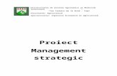 Proiect Management strategic.docx