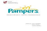 Proiect Pampers Kidex 1