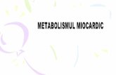 Metabolismul miocardului