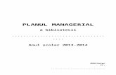 Plan Managerial Detaliat Model