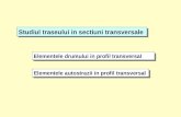 4. Traseul in Profil Transversal