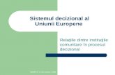 Sistemul Decizional UE - Cristina Abagiu