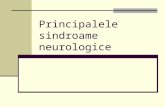 principalele Sindroame Neurologice.pptoct 2011