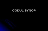 codul sinoptic