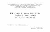 Proiect marketing partea a II-a.doc
