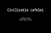 Civilizatia Cafelei- cafeaua turceasca