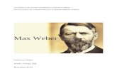 Max Weber Proiect TSA