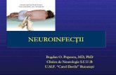 Curs Neuroinfectii