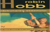 Robin Hobb - Razbunarea Asasinului Vol.1