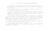 Municipiul Bucuresti- Sector 4 - Studiu de Geografie Umana