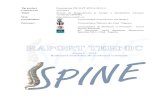 Raport SPINE 1 2014 Consortiu 20pag Ver1