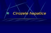Cirozele hepatice.ppt