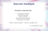 Sarcini Multiple
