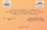 Perfectionarea Sistemului Metodologico Managerial in Cadrul Companiei Top