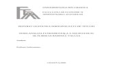 Analiza Fundamentala a Societatii SC Oltchim SA Ramnicu Valcea