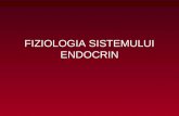 2. Fiziologia Sistemului Endocrin