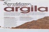 5 Probleme, o Solutie - Argila