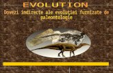 Dovezi ale paleontologiei