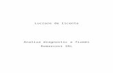 Analiza Diagnostic a Firmei Romarcost SRL 1d803