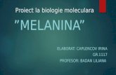 Proiect La Biologie Moleculara