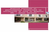 Analiza poziției și performanței financiare la societatea SC Ziua și Noaptea SRL – Hotel Vanilla