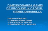 Dimensionarea Gamei de Produse in Cadrul Firmei Annabella