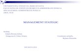 Planul de Afaceri Instrument Al Managementului Strategic