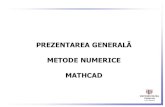 metode numerice