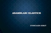 Asamblari elastice 1