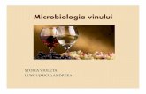 Microbiologia vinului