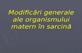 Curs 3 - Modificari Generale in Sarcina