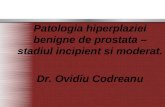 Patologia hiperplaziei benigne de prostata- stadiul   incipient si moderat.ppt