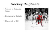 Hockey de gheata.ppt