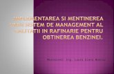 BonciuLaura_Sistem de management al calitatii pentru obtinerea benzinei.ppt