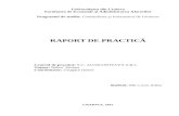 Raport practica Mic Lucia-Adina.doc