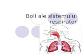 Boli Ale Sistemului Respirator