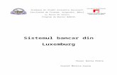 Sistemul Bancar Din Luxemburg