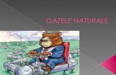 23837332 Gazele Naturale