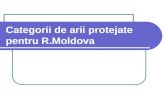 4 categorii moldova.ppt